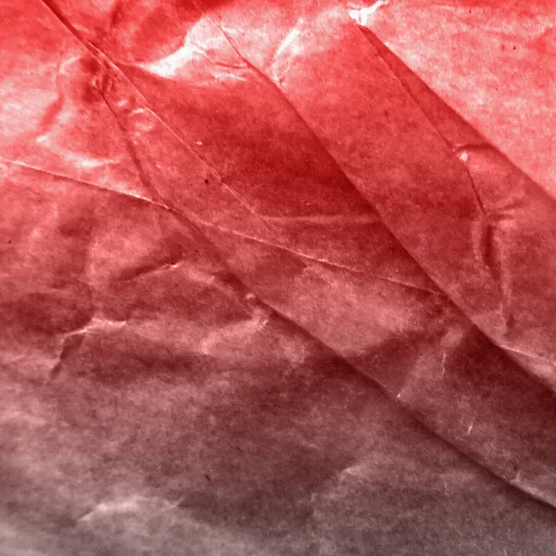 ֽ�ŵ��Ʊ���-������