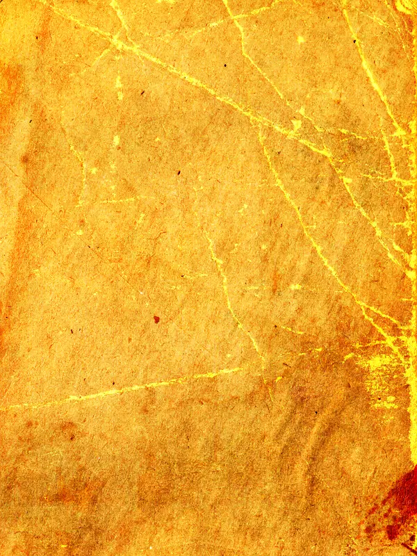 ���Ż��ɱ���-������