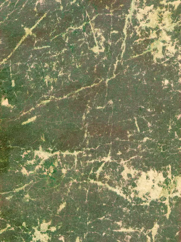 ����ֽ����������-������