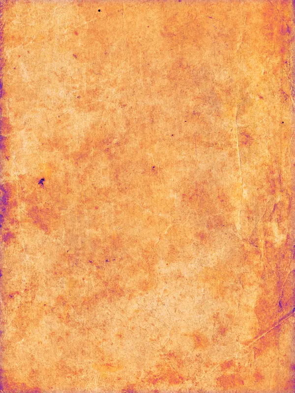 ���Ż�����������-������