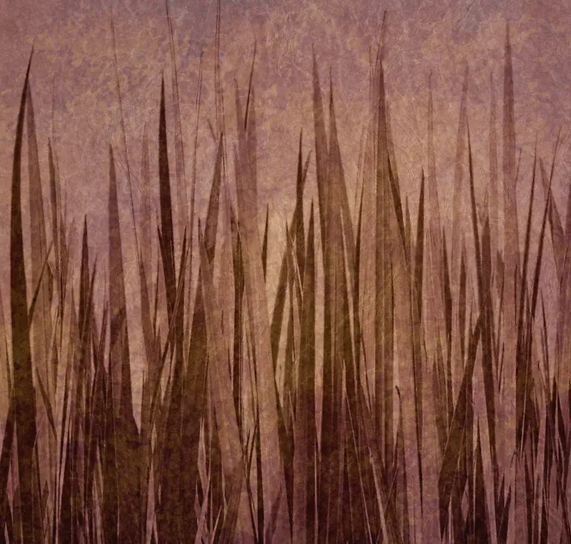 ֲ��ݵر���-������