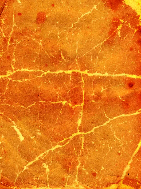 ���ŵ��Ʊ���-������