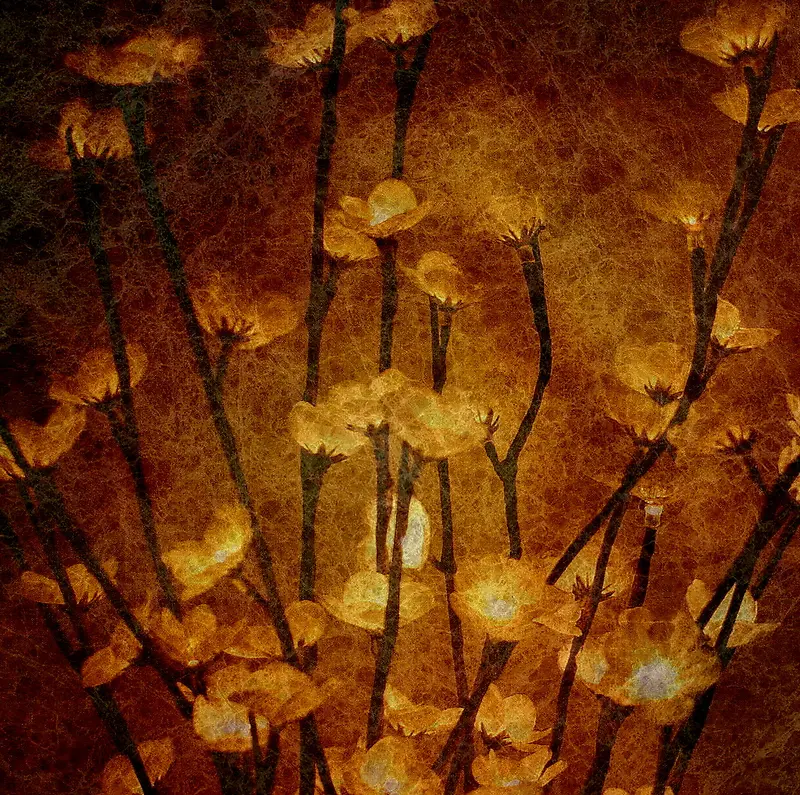 �λû��䱳��-������