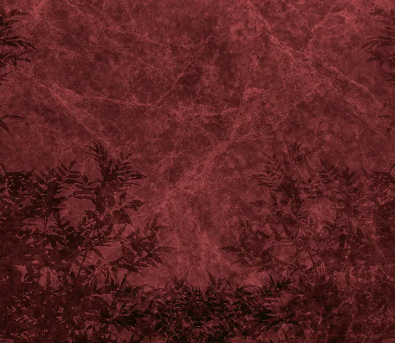 ֲ�ﱳ���߿�-������