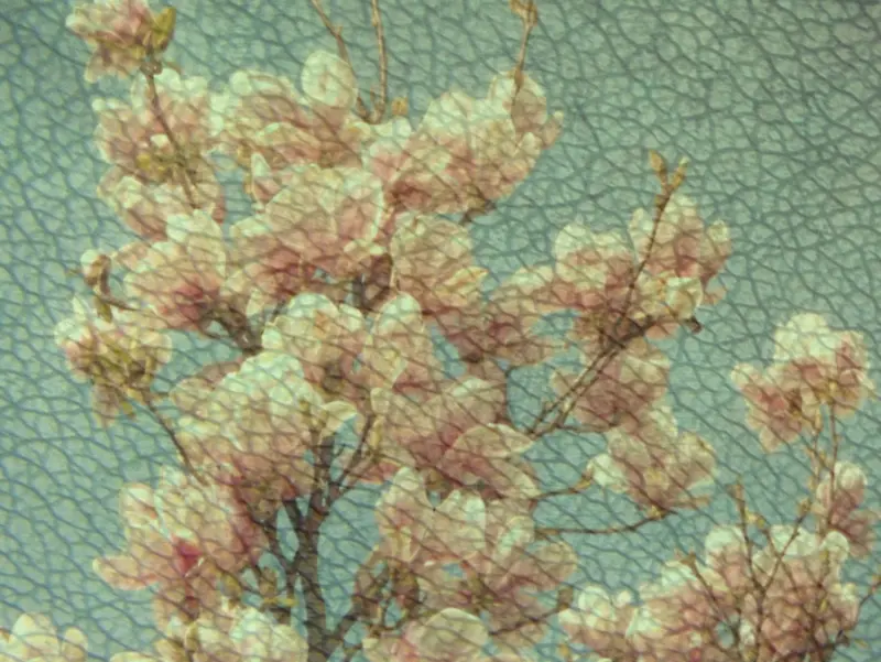 ������������-������