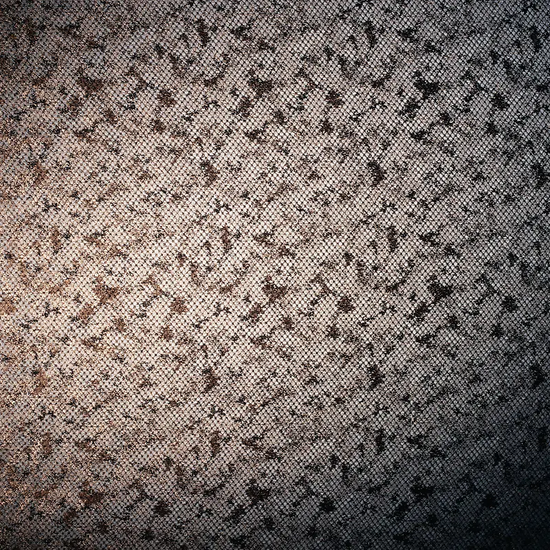 ���Ʊ�������-������