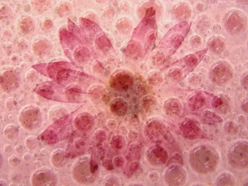 �λ��ʻ�����-������