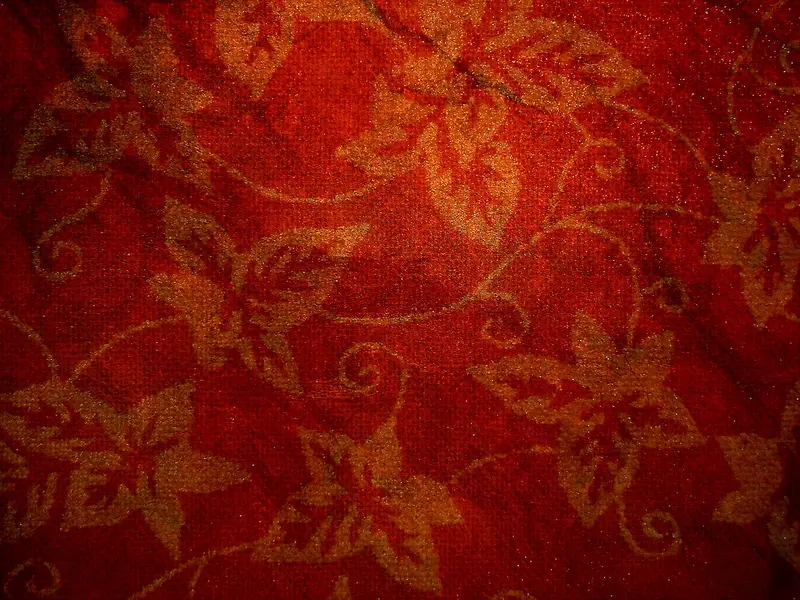 ֽ��ͼ������-������