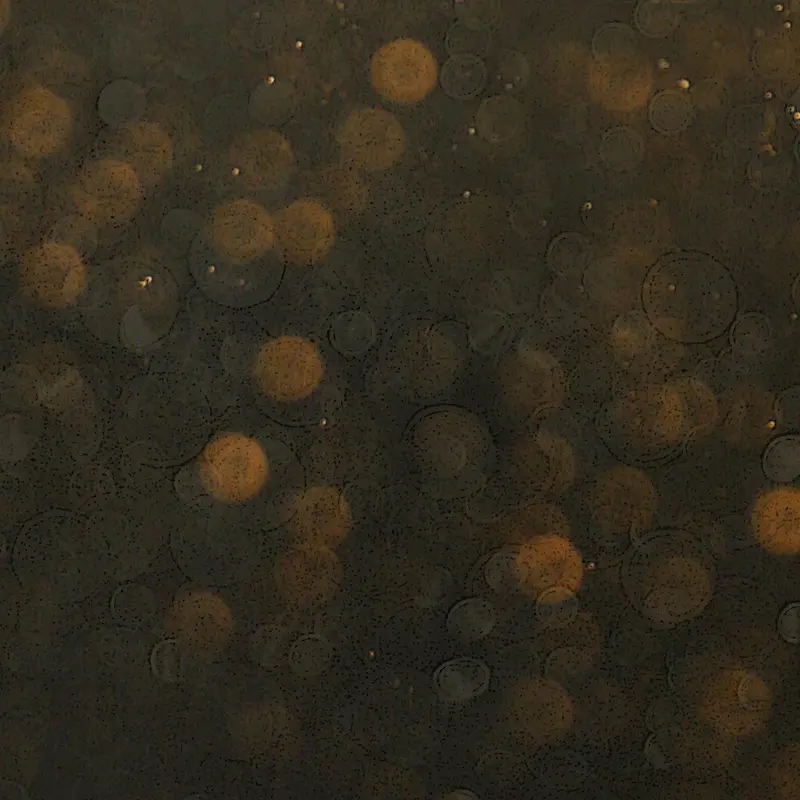 ���ɹ�߱���-������