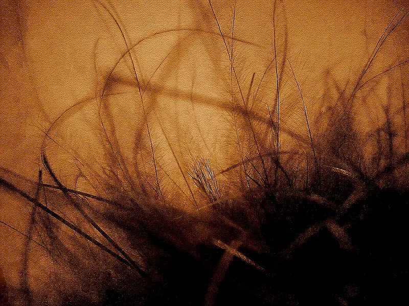 ���ɱ�������-������