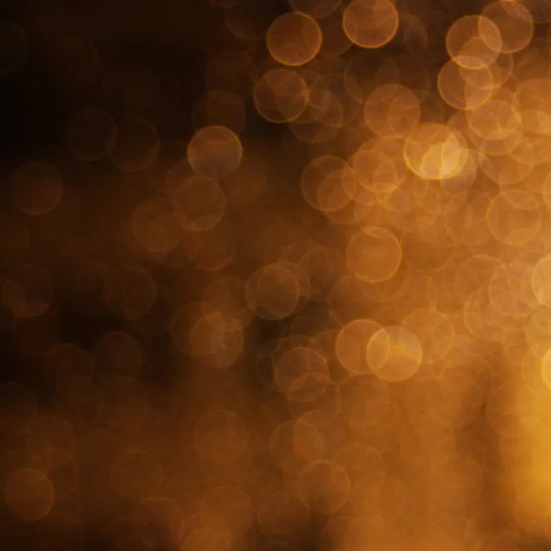 �λû��ɹ�߱���-������