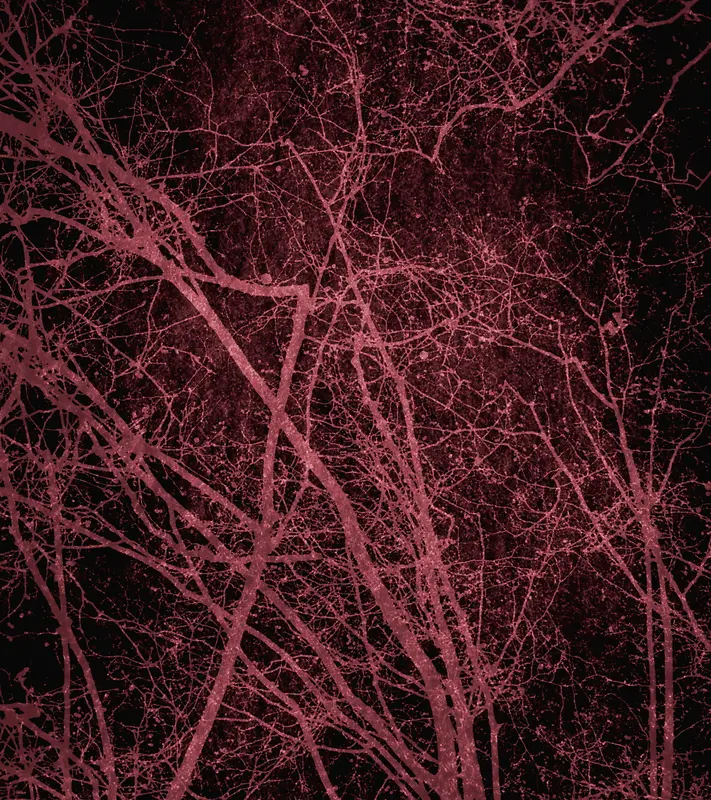 ֲ����֦����-������