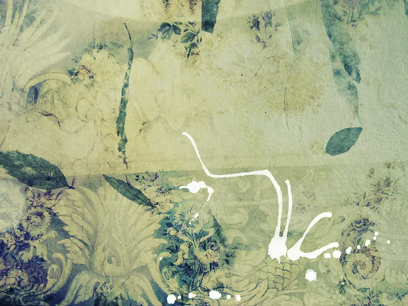 ŷʽ���Ʊ���-������