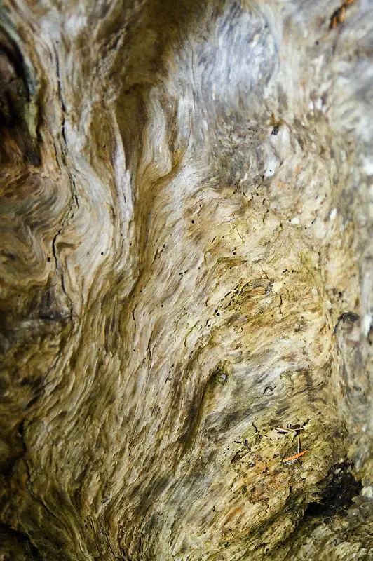 ��ľ��������-������