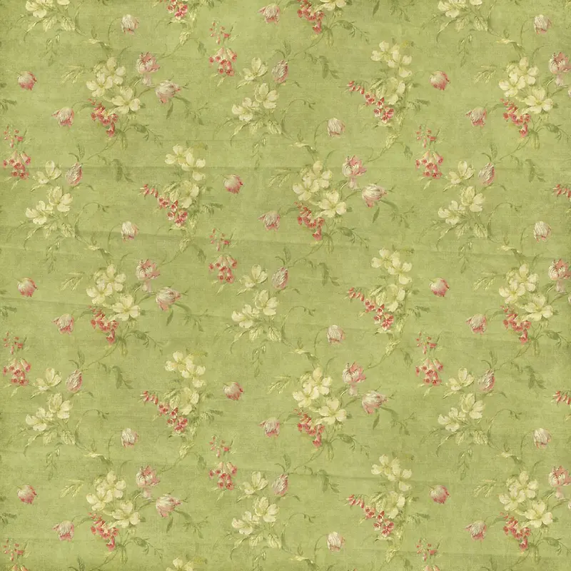 ��ɫ���䱳��-������