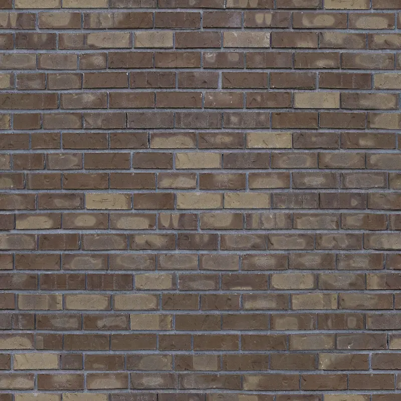 שǽǽ�ڱ���-������