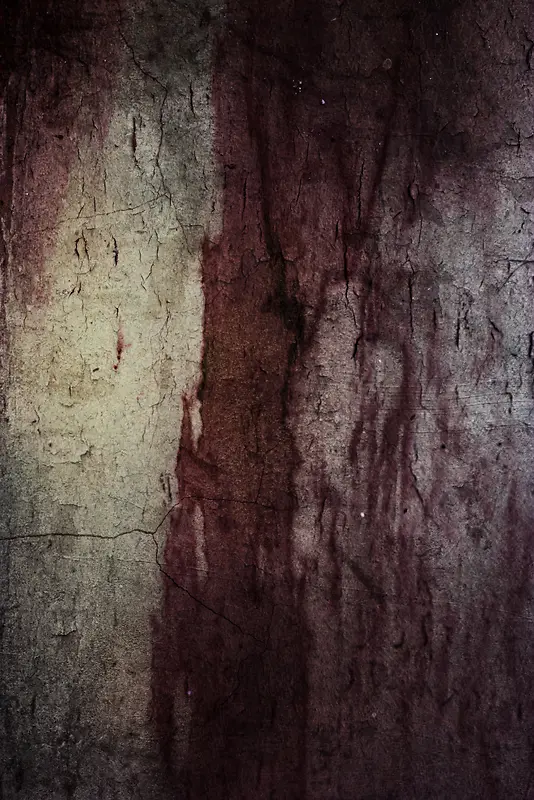 ���ɱ���-������