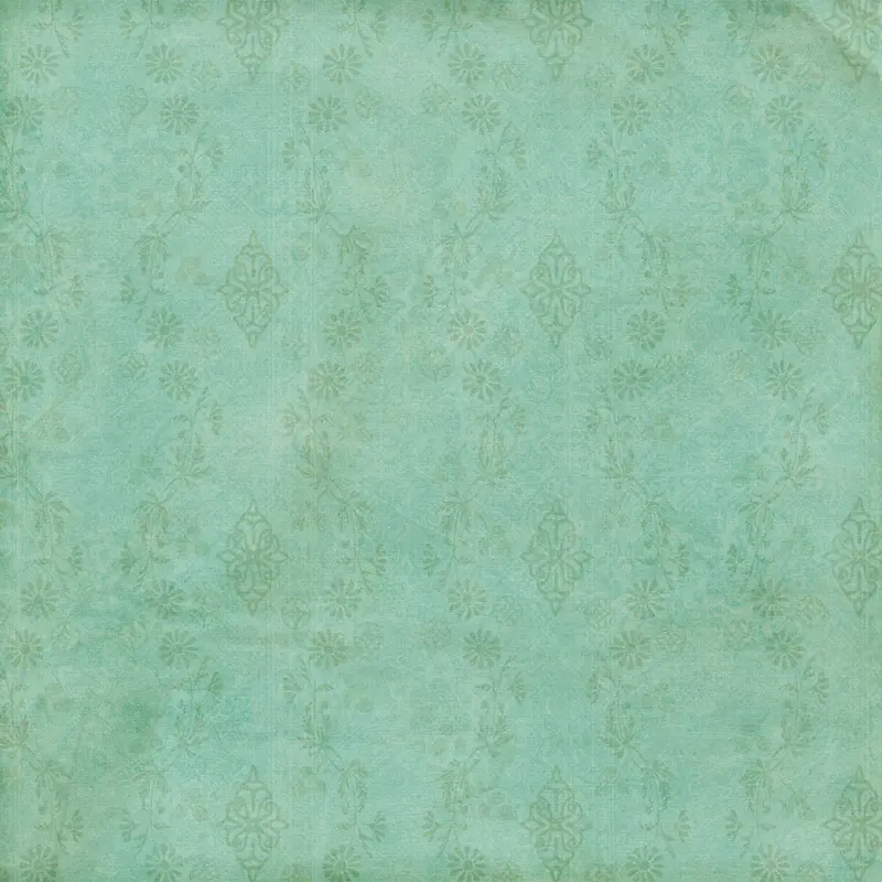 ��ɫ���Ʊ���-������