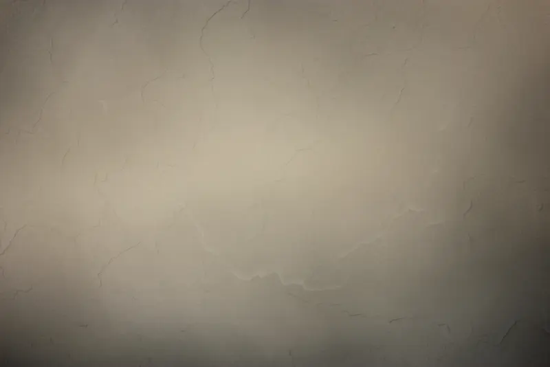 ���Ż�����������-������