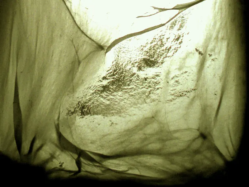 ����˿�񱳾�-������