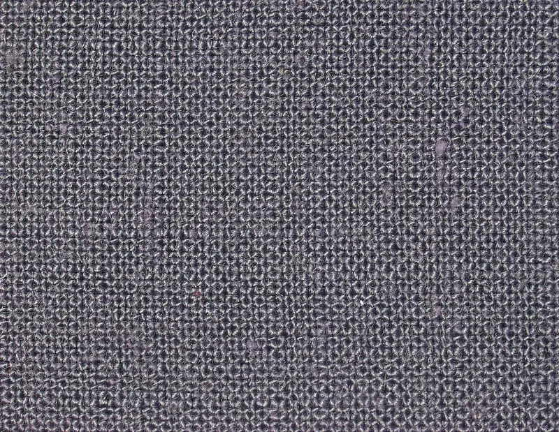 ���Ʊ�������-������