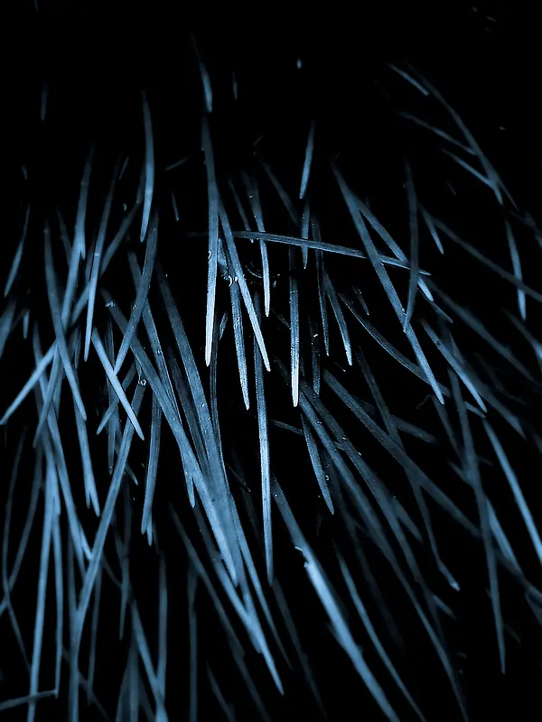 ������󱳾�-������