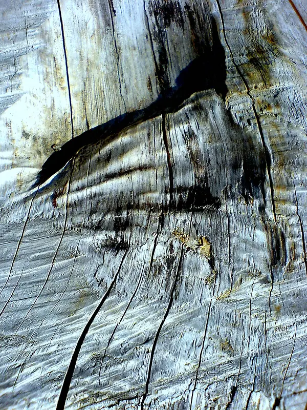 ľ�Ʊ�������-������