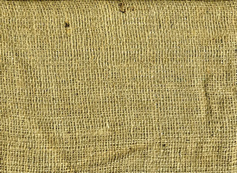 �鲼����-������