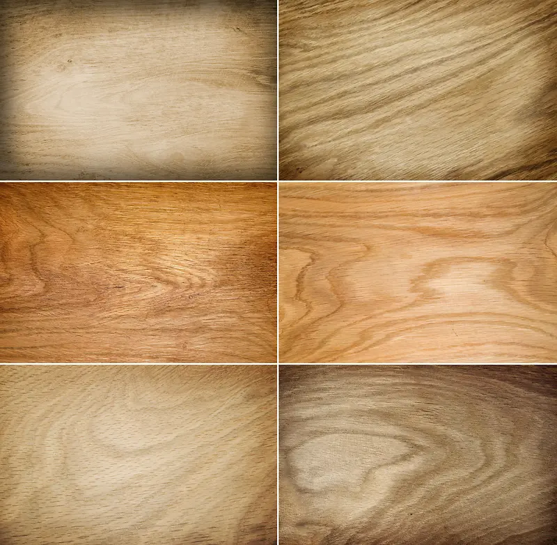 ����ľ����������-������