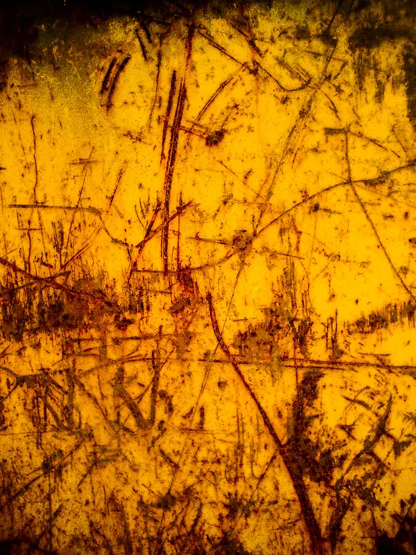 ���ⱳ��-������