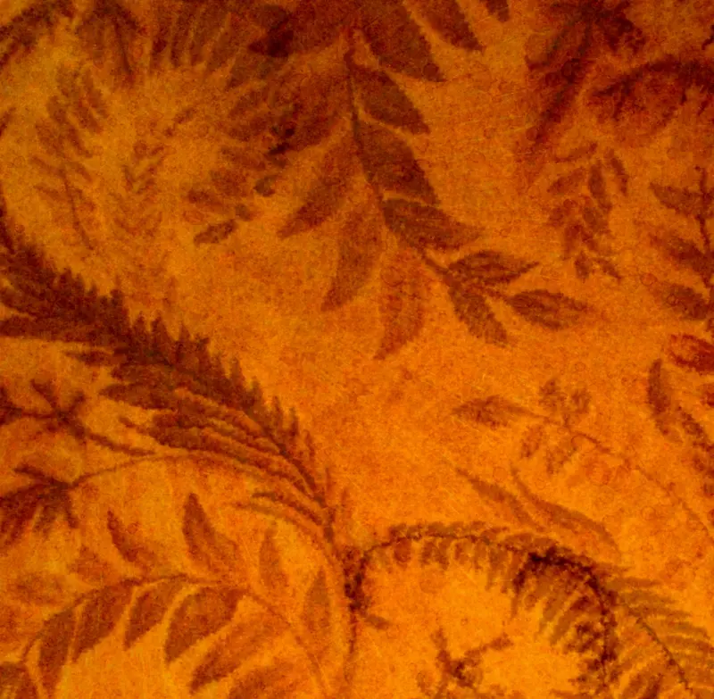 ��ɫ������Ҷ����-������