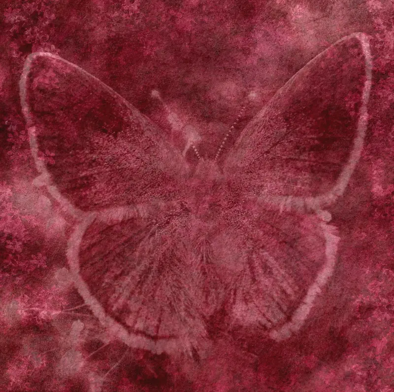 �λú�������-������