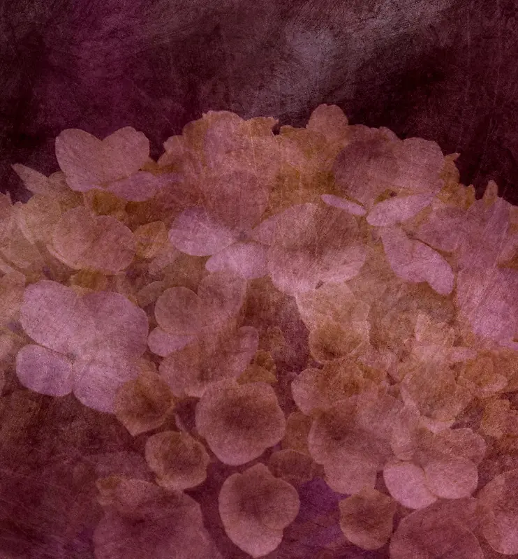 �����ʻ�����-������