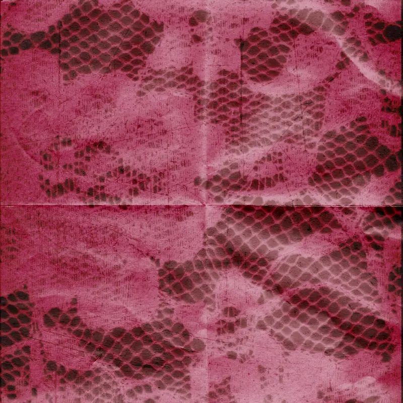 ����ֽ�ű���-������