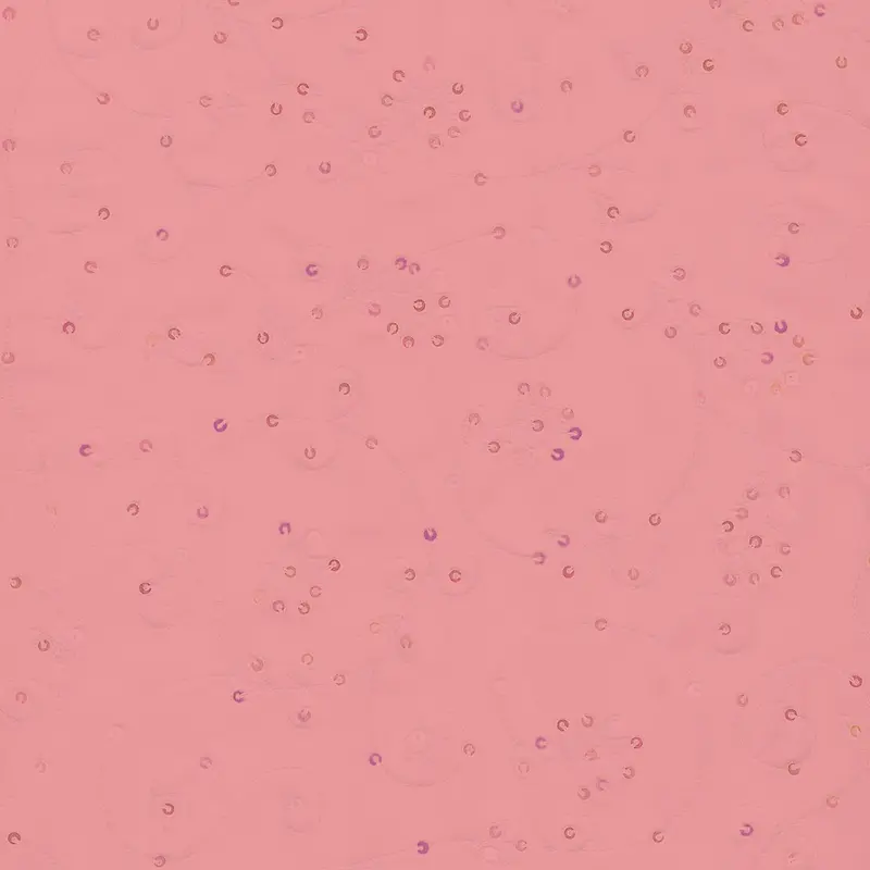 ���ɱ�������-������