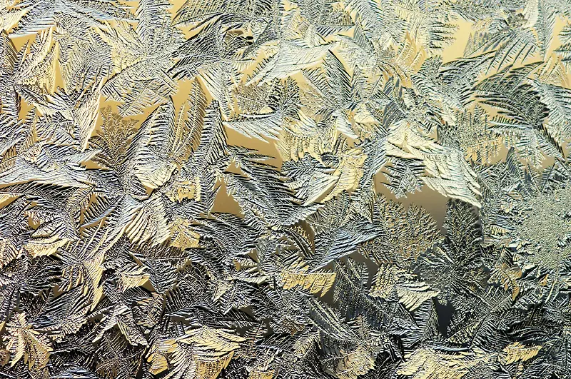 �������Ʊ���-������