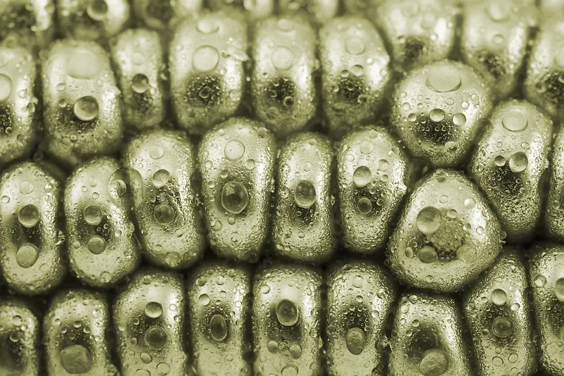 �������ױ���-������