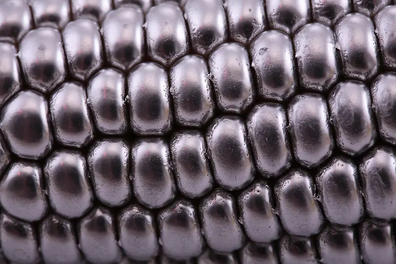 ��������ױ���-������