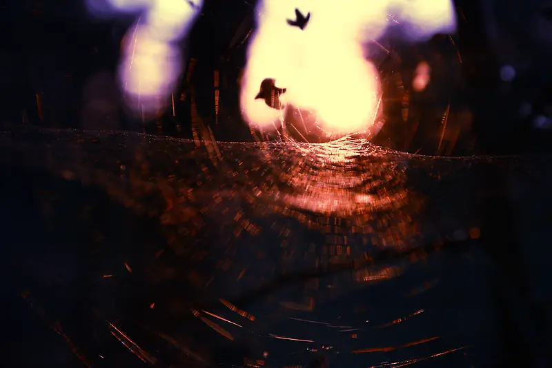 �����ز�-������