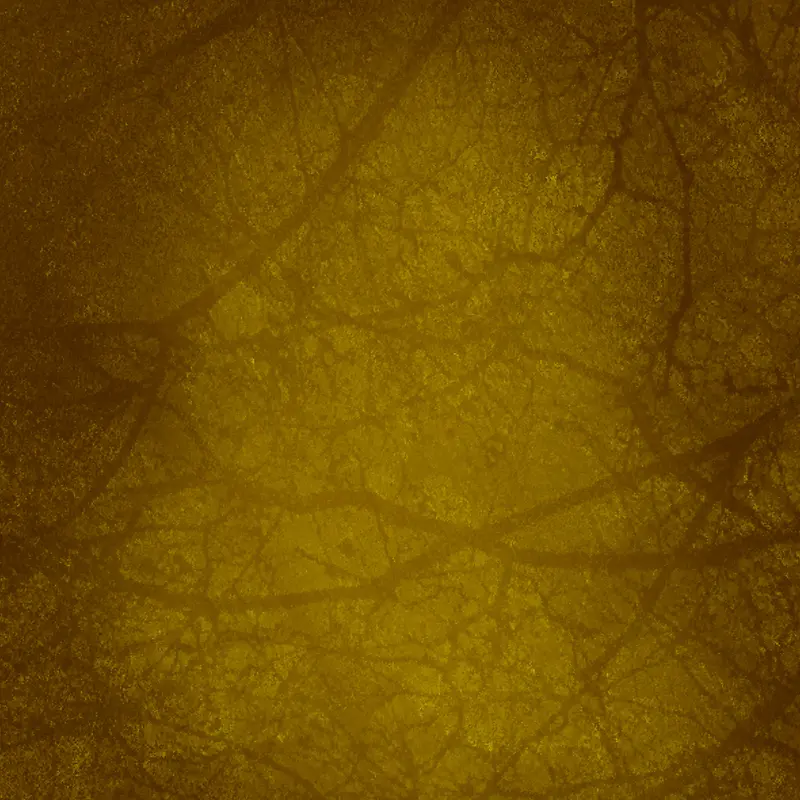 �������Ʊ���-������