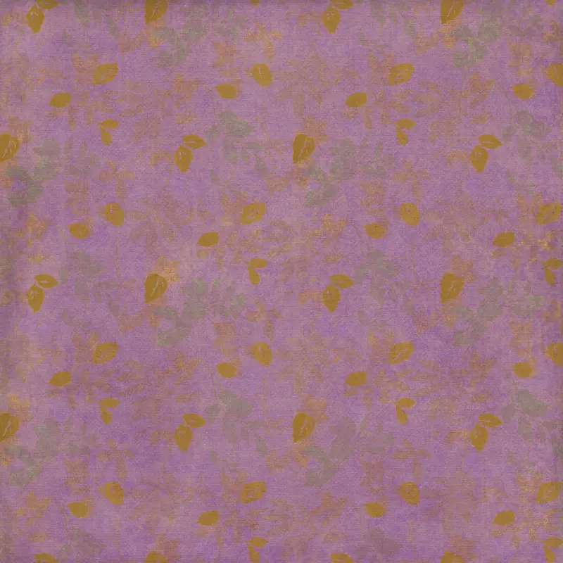 ���ŵ��Ʊ���-������