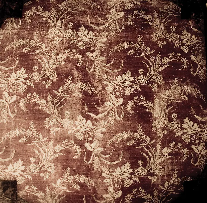 ���Ż��Ʊ���-������