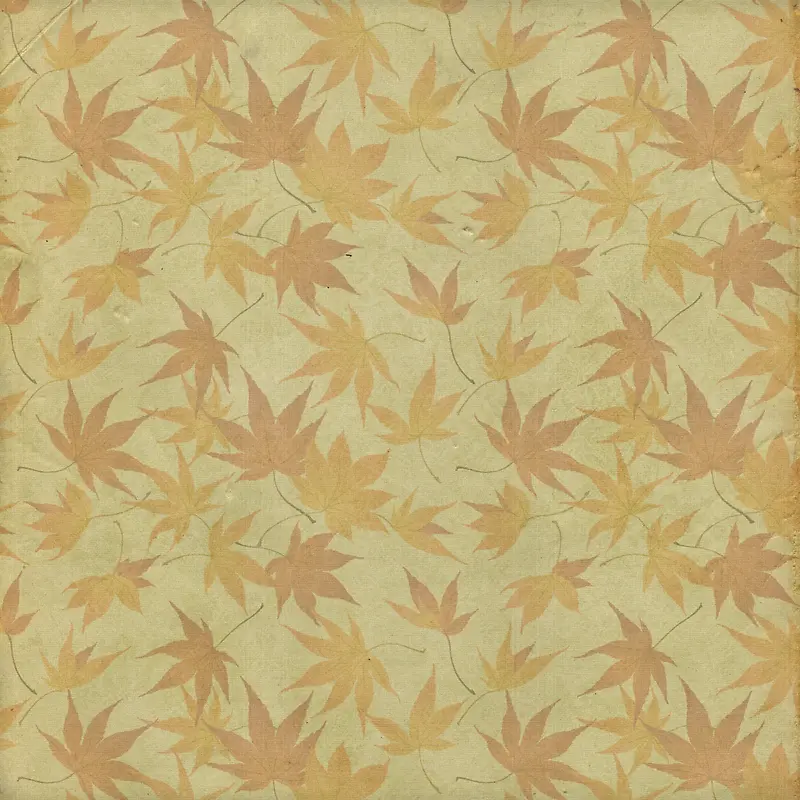 �����Ҷ����-������