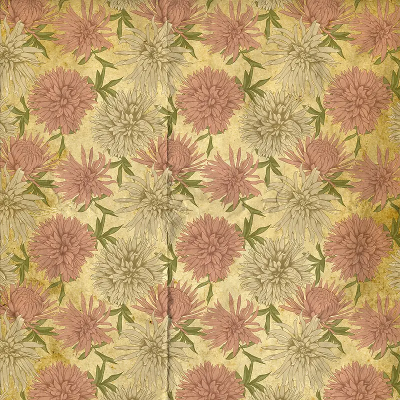 ��ɫ���ܲ��Ʊ���-������