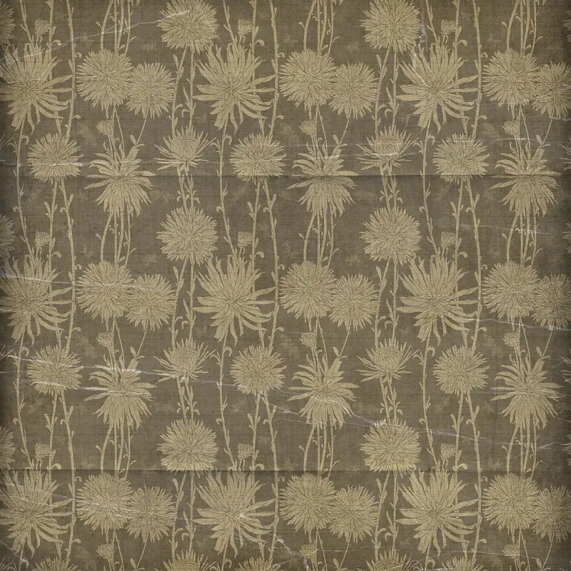 ���Ƶ��Ʊ���-������