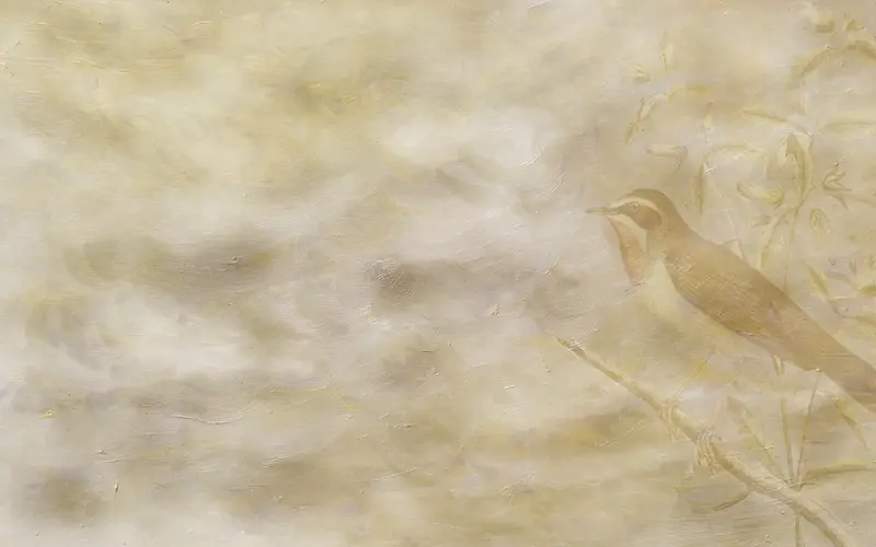 ��֦�ϵ�С��-������