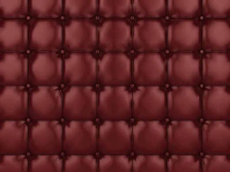 Ƥ�ﱳ��-������