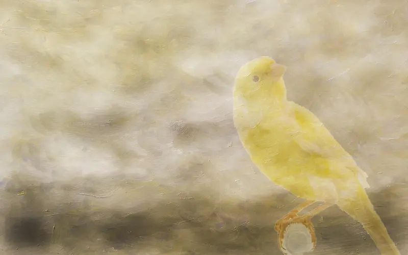 С����Ʊ���-������