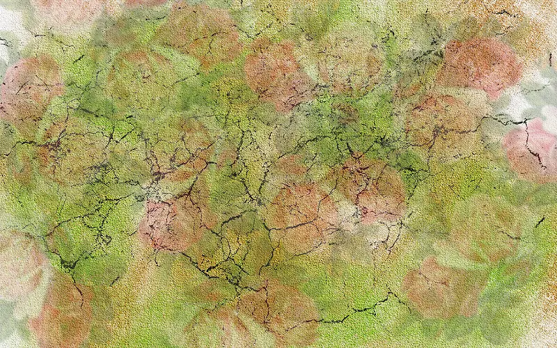 ��ɫ����ͼ��-������