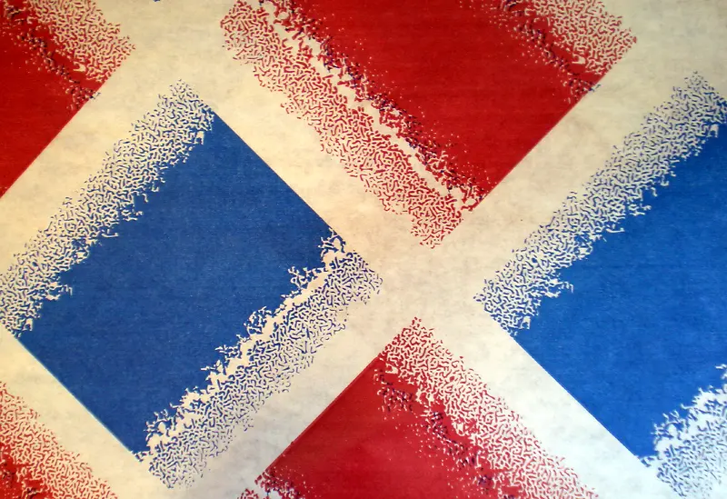 ���ŵĳ�����������-������